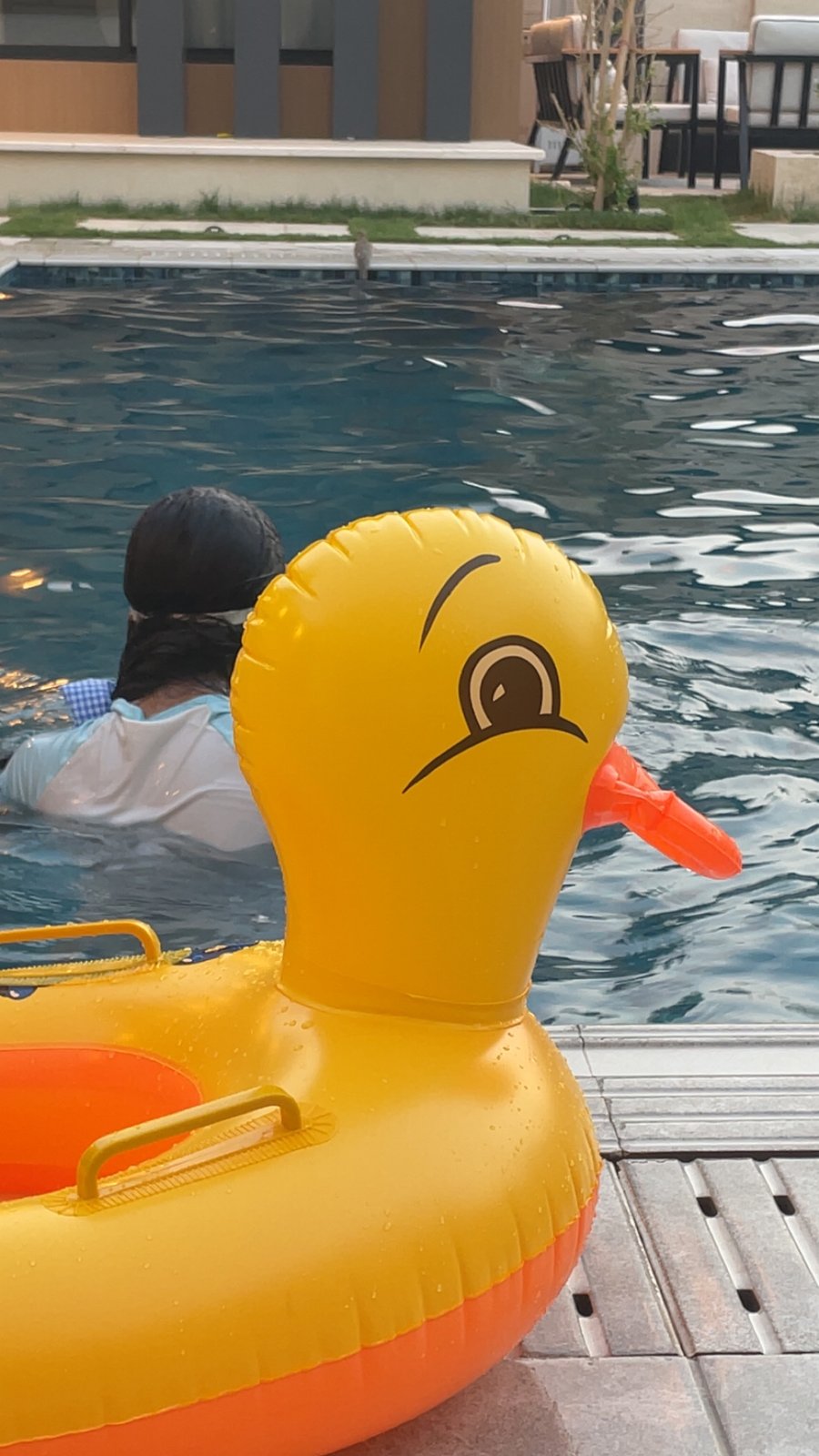 شاليه D1 — 37