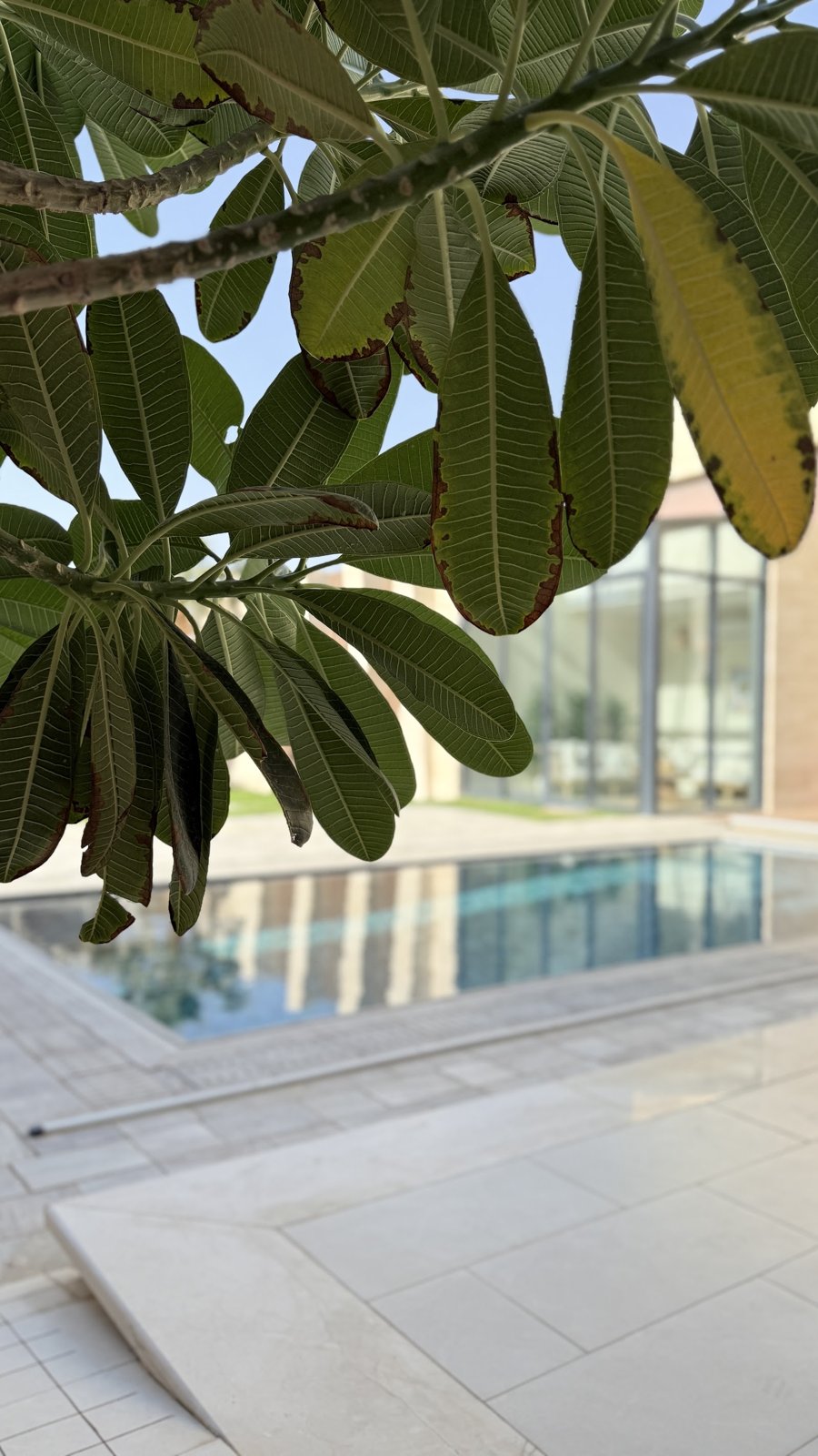 شاليه D1 — 32