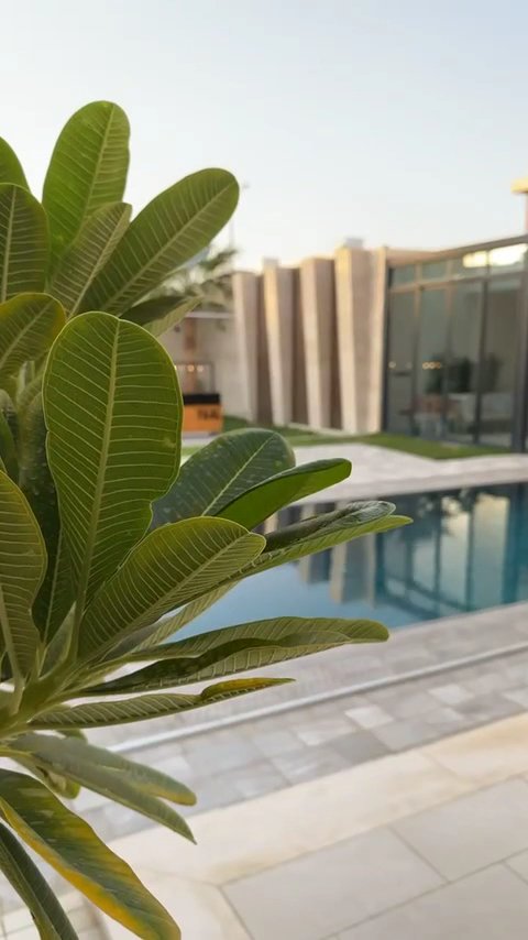 شاليه D1 — 40